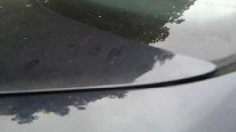 15" earthquake dbxi NEW VIDEO