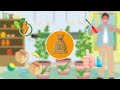 Why Cheap Grow Setups Cost You More in the Long Run!