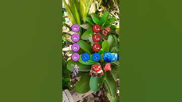 Inside out characters coloring match