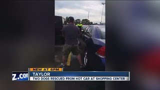 Two dogs rescued from hot car in Taylor