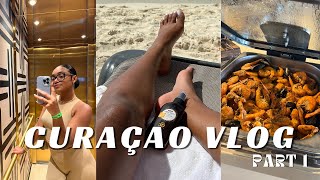 TRAVEL VLOG | WATERSLIDES + ROAD TRIP + BEACH & MORE | COCOCURLS @coconayomi