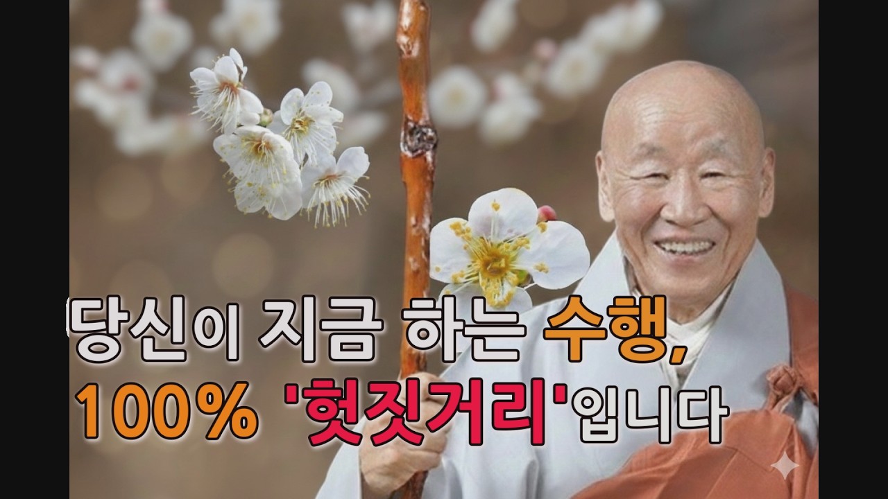 어려운 불교 교리 다 집어치우세요! '이것' 하나면 끝납니다! | 묘허큰스님의 달마대사 관심론(1회)