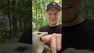 Celebrity Opossum bites man! Net Worth
