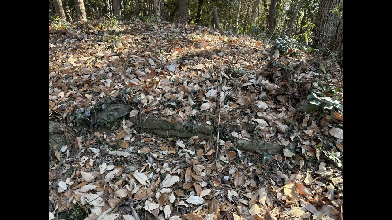 青山城＠埼玉県小川町　2026.1.4　Ver.L