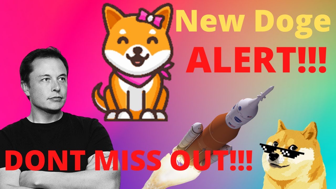 Kabosu Coin the next 100x coin like Doge and Shiba , Analytics and how to buy, Don't MISS.