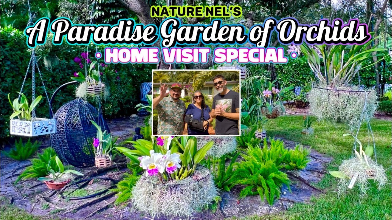 “Orchid Oasis: Inside a Luxurious South Florida Garden.Meet orchid guru “Geo’s Golden Orchid Care.” 