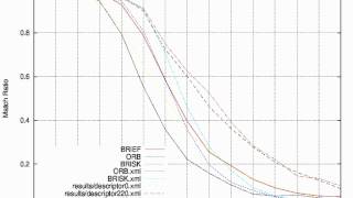 Systematic evaluation of binary feature descriptors - Global Maximum