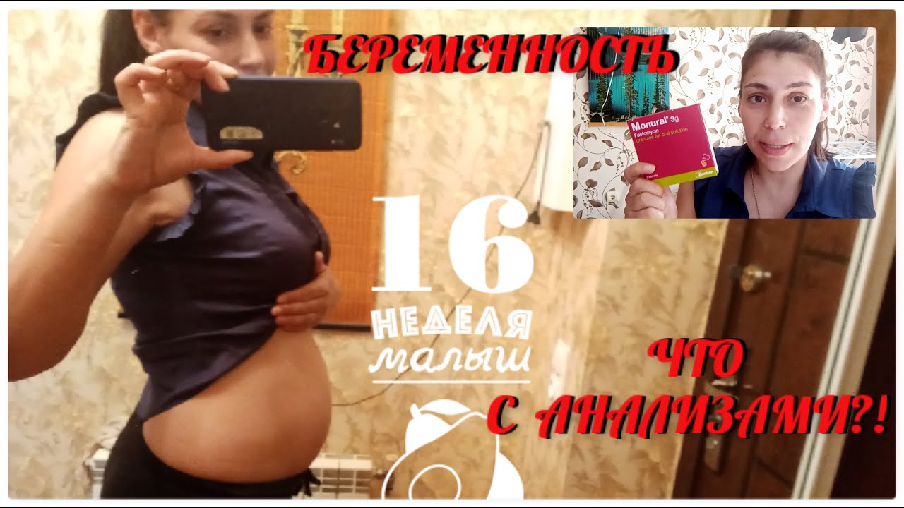 Реалити беременных 16