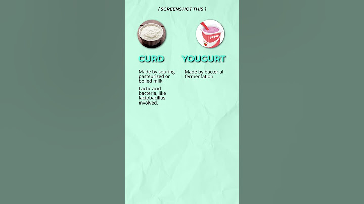 Curd vs  Yogurt