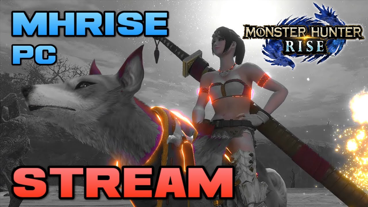 Monster Hunter Rise - HR69+ Road to HR100 Dual Blades Multiplayer PC Gameplay MHRise