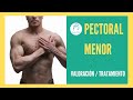 👉CÓMO TRABAJAR PECTORAL MENOR (VALORACIÓN y TRATAMIENTO)