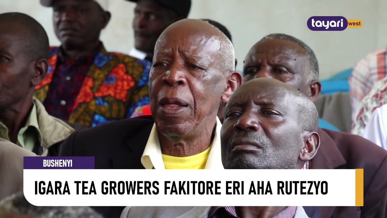 #AGENSHONGA: IGARA TEA GROWERS FAKITORE ERI AHARUTEZYO -  BUSHENYI
