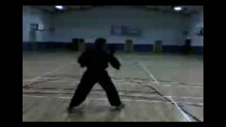 Kata 1 Irish Shuriken Jitsu Federation.AVI