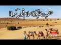 Hazart hamza na Islami Kuala ki #vakya #video #viralvideos #viral #shorts #shorts 