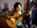 Super Mario Land on Acoustic Guitar