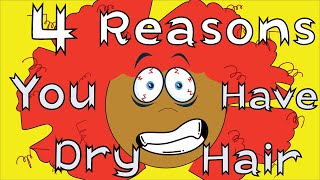 4 Reasons Your Natural Hair is Dry | Why You Have Dry Natural Hair