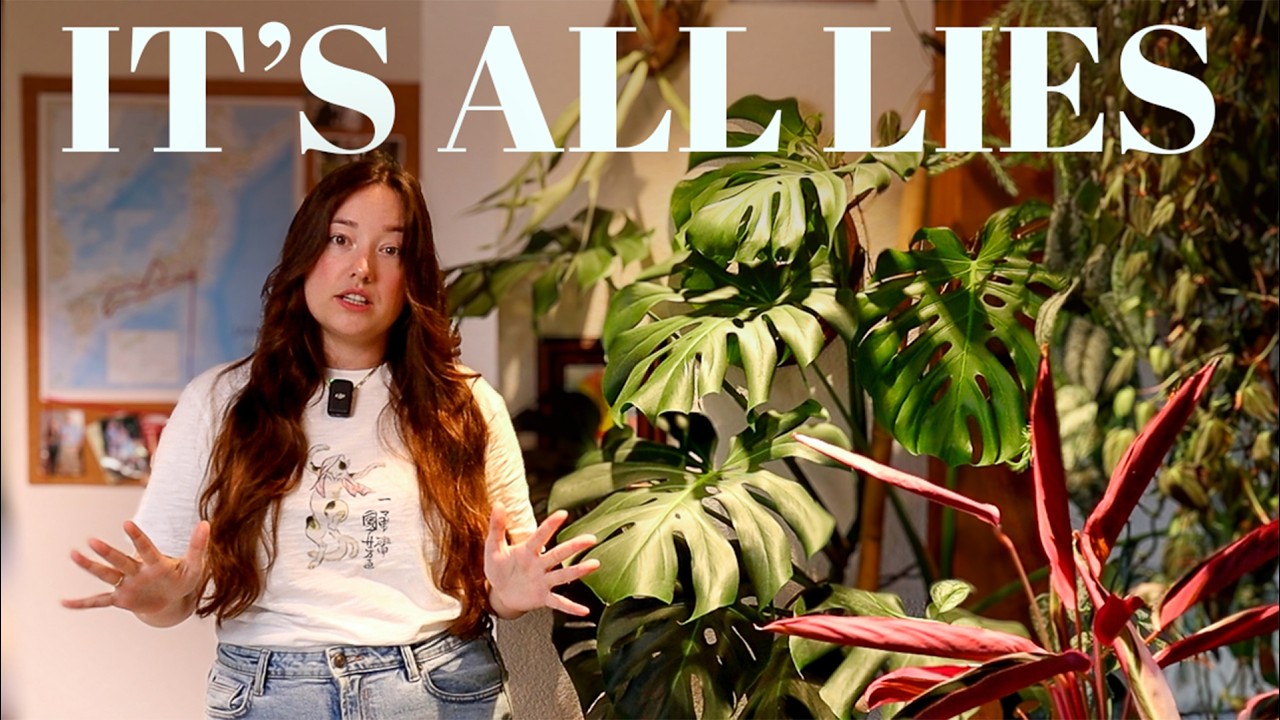 The Perfect Houseplant Collection does NOT Exist