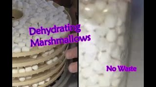 Dehydrating Marshmallows | No Waste