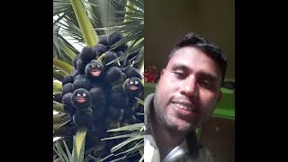 দেখুন তাল কিভাবে কথা বলে #comedy #cartoon #funny #facts #entertainment #virulvideo #funnyvideo