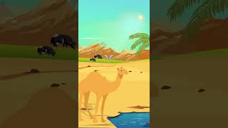 قصص الأنبياء مع بروكلي:  قصة سيدنا صالح عليه السلام والناقة الجزء 4 #broccole #صالح #قصص_الانبياء