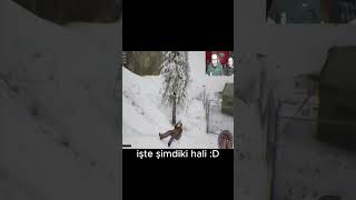 Yaşlandık Bee 2 Erzurum Oyunu Şfet Şfetbeniöneçıkar Şfetteyiz Şfetedüş