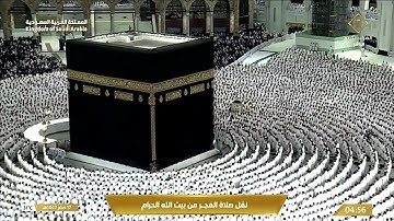 تلاوة متأنية جميلة من سورة النحل للشيخ بدر التركي | صلاة الفجر 17-2-1447 هـ