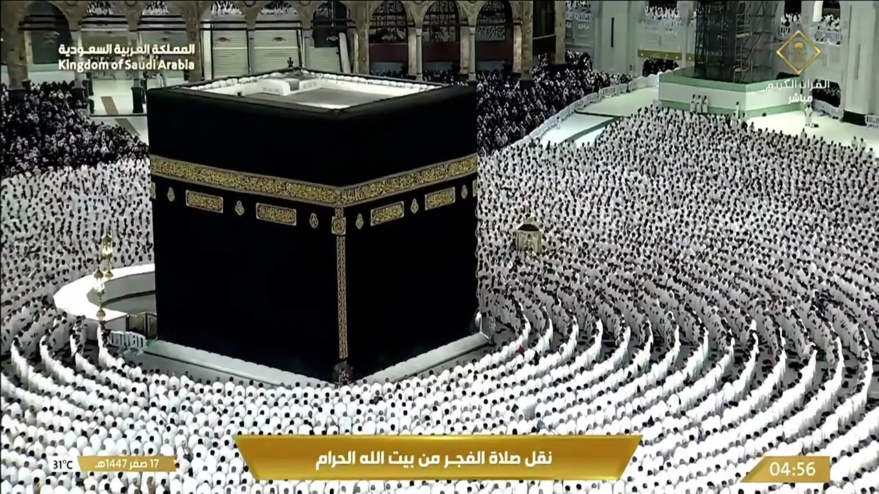 تلاوة متأنية جميلة من سورة النحل للشيخ بدر التركي | صلاة الفجر 17-2-1447 هـ