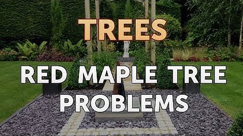 Red Maple Tree Problems