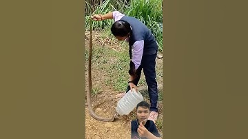 Cách Bắt rắn đơn giản bằng keo nhựa #snake ￼