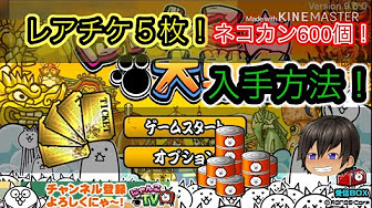 にゃんこ大戦争公式 レアチケ 5枚攻略動画まとめ Youtube