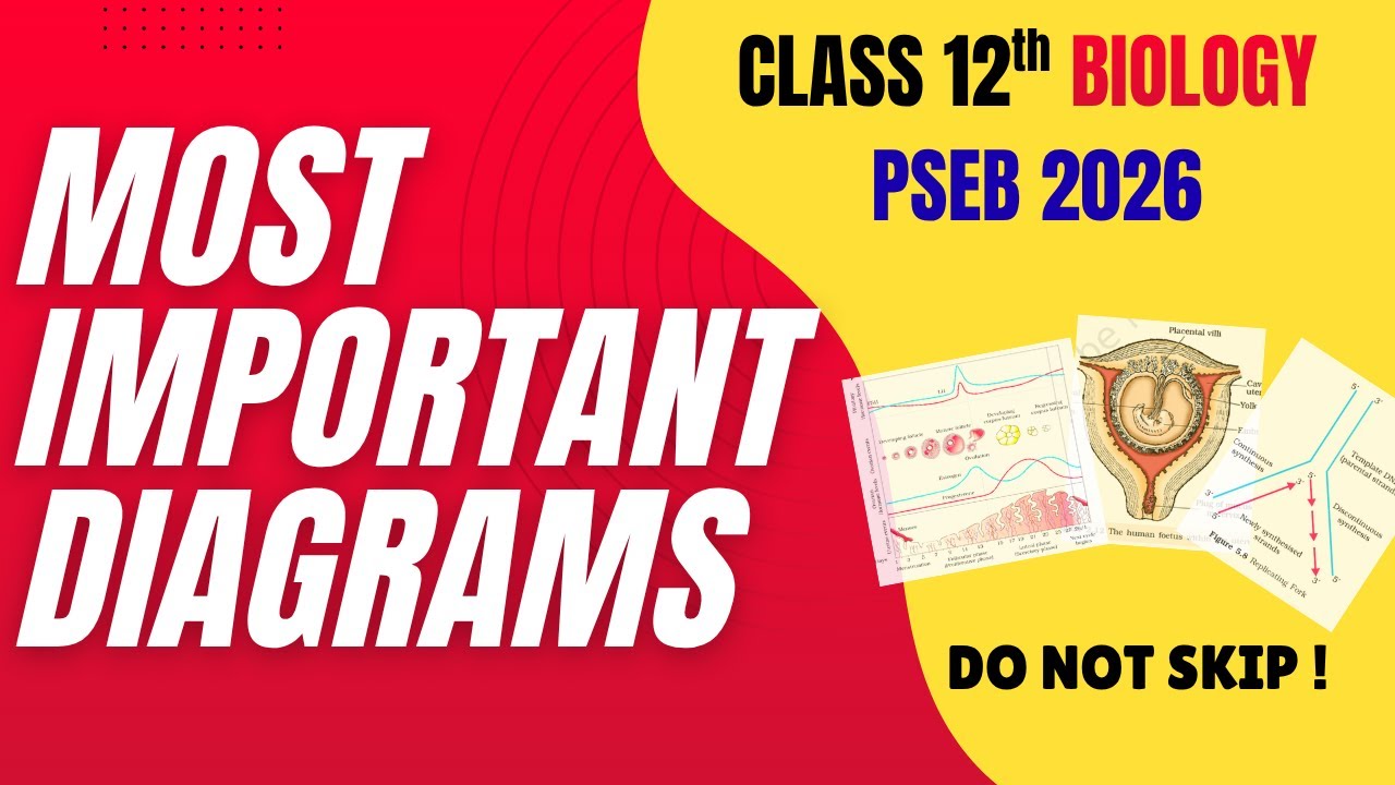 Important Diagrams | Unit-wise | Must Watch | Class 12th Biology | PSEB 2026 | #psebclass12board
