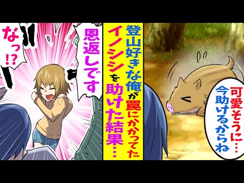 漫画 登山が趣味な陰キャな俺が ある日のハイキング中に罠にかかっていたイノシシを発見 助けてあげた晩 自宅の扉を突き破って女の子がやってきた 恩返しです Youtube 漫画 登山が趣味な陰キャな俺が ある日のハイキング中に罠にかかっていたイノシシを発見 助けてあげた晩 自宅の扉を突き破って女の子がやってきた 恩返しです Youtube