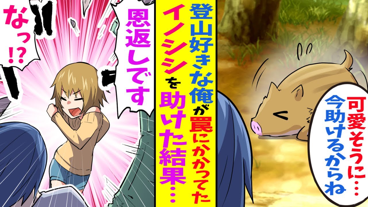 漫画 登山が趣味な陰キャな俺が ある日のハイキング中に罠にかかっていたイノシシを発見 助けてあげた晩 自宅の扉を突き破って女の子がやってきた 恩返しです Youtube 漫画 登山が趣味な陰キャな俺が ある日のハイキング中に罠にかかっていたイノシシを発見 助けてあげた晩 自宅の扉を突き破って女の子がやってきた 恩返しです Youtube