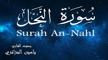 سورة النحل - ياسين الجزائري Surah An-Nahl - Yassin Al-Jazaery