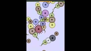 Cell Lab: Tip the Balance - Virus "Solution"