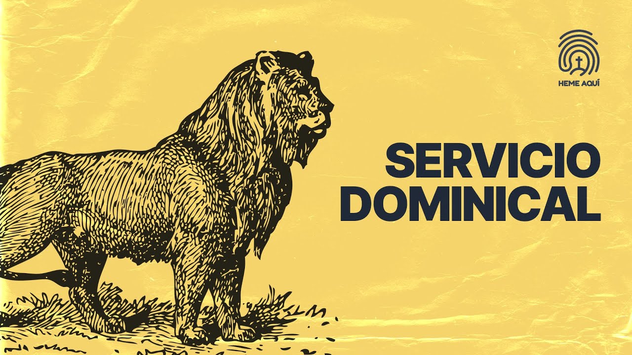 Desordenado y Vacio| Domingo 1 De Marzo del 2026 |