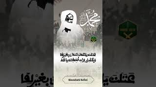 khasida sarig touba