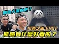 川西之旅 EP01：貓熊有什麼好看的？ 在這裡微信支付不管用？「台灣人行大陸」「Men's Game玩物誌」