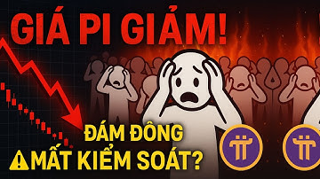 💥 Giá Pi Điều Chỉnh 📉 Tâm Lý Đám Đông Đang Gây Hại Cho Chính Họ?