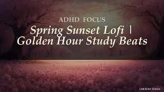 ADHD Focus | Spring Sunset Lofi | Golden Hour Study Beats + 14Hz Binaural Beats [3h]