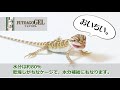 フトアゴゲル 商品紹介動画 (新版)【FUTOAGOGEL キョーリン Hikari エサ】