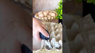 Fun &amp; Easy Easter Egg Decorating Trick You’ll Want To Try 🥚✨#EasterDIY #EggDecor #KidsCraft