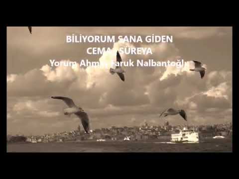 Ahmet Faruk Nalbantoğlu.Cemal Süreya-Sana giden yollar kapalı