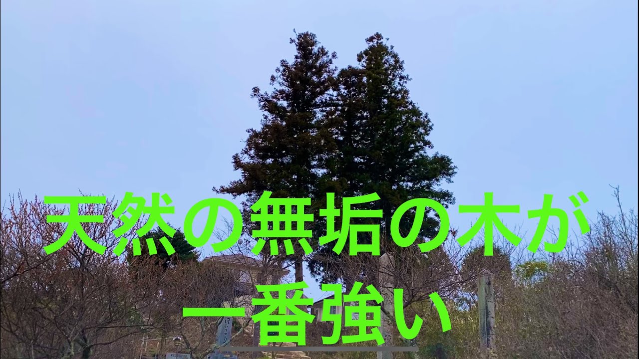 広島 くらしの工房 楽 Youtube
