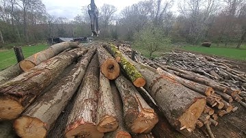 Log Truck Loading And Delivering Big Wood Part 1