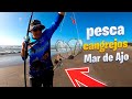 Emocionante pesca de Cangrejos en la playa (Mar de Ajo): ¡Capturando el Cangrejo Azul y más!