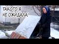 🏡 ЖИЗНЬ НА КРАЮ СЕЛА У ЛЕСА УМЕЕТ ПОДКИДЫВАТЬ СЮРПРИЗЫ | ЖИЗНЬ В ДЕРЕВНЕ.