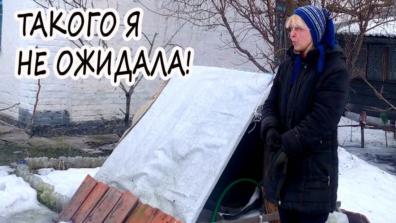 🏡 ЖИЗНЬ НА КРАЮ СЕЛА У ЛЕСА УМЕЕТ ПОДКИДЫВАТЬ СЮРПРИЗЫ | ЖИЗНЬ В ДЕРЕВНЕ.