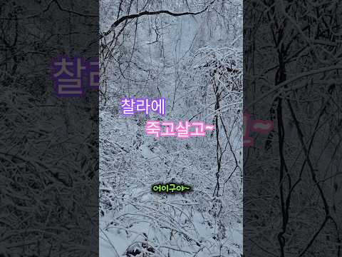 설산 거대한 나무가 바로 앞에 쾅… 큰일 날 뻔~