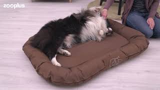 Hundematratze Strong & Soft screenshot 4